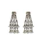 Load image into Gallery viewer, Abhinn Silver Oxidised Floral Necklace Seṭ With White CZ Stones &amp; Pearls
