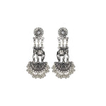 Load image into Gallery viewer, Abhinn Silver Oxidised Traditional Elephant And Peacock Design Necklace Set For Women

